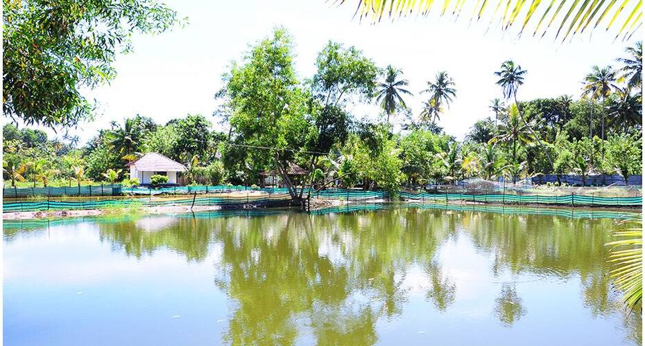Alleppey Farm Cottage, Alleppey 4
